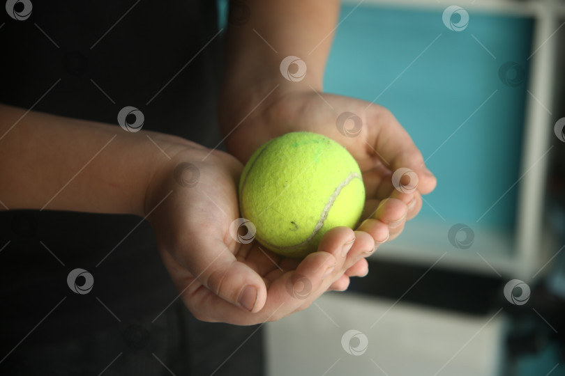 Скачать Ребенок держит бейсбольный салатовый мяч в руках. Крупный план. Мальчик держит маленький мячик фотосток Ozero