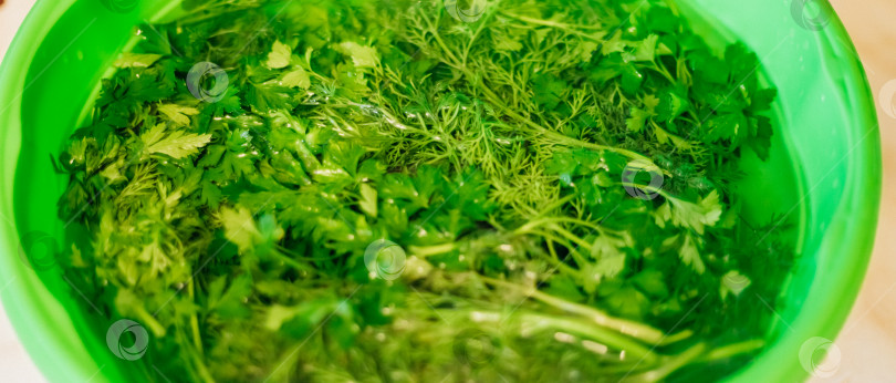 Скачать Свежей петрушки и укропа развести в стакане воды. Перед употреблением зелень замочить и промыть. фотосток Ozero