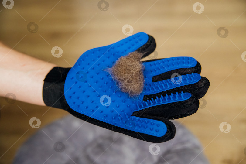 Скачать Перчатка для расчесывания шерсти. На поверхности перчатки кошачья шерсть. Массажный аксессуар для животных. фотосток Ozero