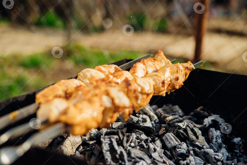 Скачать Свежее мясо для шашлыка, обжаренное на огне. Выбор блюд. Приготовление шашлыка на мангале с дымком. Пикник на природе. Здоровая пища и правильное питание. фотосток Ozero