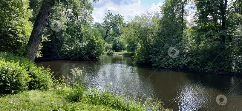 Скачать Летний пейзаж с рекой и густой зеленью фотосток Ozero