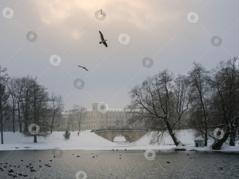 Скачать Мост через замерзшее озеро с несколькими птицами, летающими в небе. фотосток Ozero