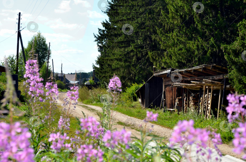 Скачать Деревенская улица. фотосток Ozero
