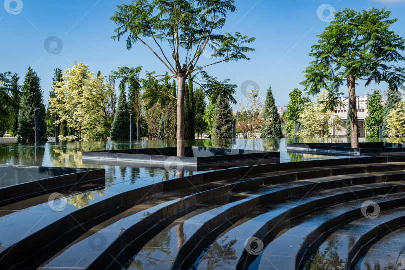 Скачать Деревья джакаранда (Jacaranda mimosifolia) в зоне отдыха у фонтана Инфинити. Вода из фонтана Инфинити стекает по гранитным ступеням в зону отдыха. фотосток Ozero