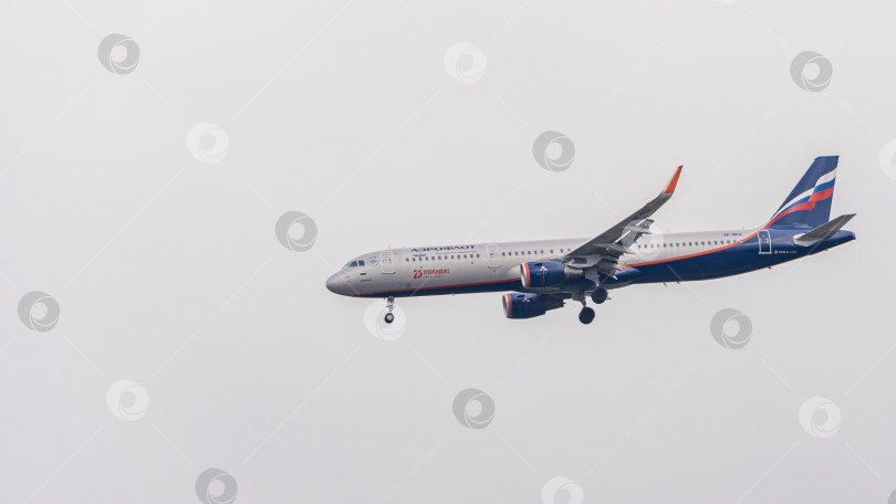 Скачать Airbus A321 садится на взлетно-посадочную полосу аэропорта Адлера на фоне облачного весеннего неба. Аэрофлот - Российские авиалинии. Крупный план. Шасси и закрылки самолета выпущены. фотосток Ozero