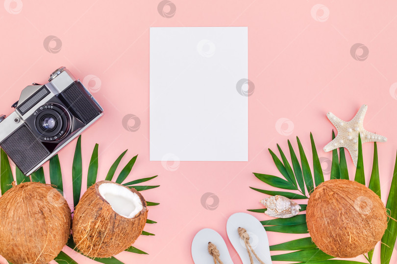 Скачать Пальмовые листья и кокосовые орехи на розовом макете фотосток Ozero