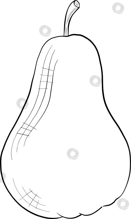 Скачать Набор нарисованных тушью тропических цветов, листьев и фруктов. Для меню, упаковки косметики и продуктов питания, книжек-раскрасок и декоративных гравюр. фотосток Ozero