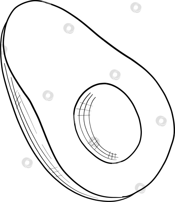 Скачать Набор нарисованных тушью тропических цветов, листьев и фруктов. Для меню, упаковки косметики и продуктов питания, книжек-раскрасок и декоративных гравюр. фотосток Ozero