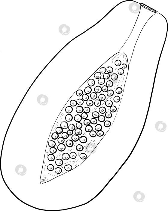 Скачать Набор нарисованных тушью тропических цветов, листьев и фруктов. Для меню, упаковки косметики и продуктов питания, книжек-раскрасок и гравюрных украшений. фотосток Ozero