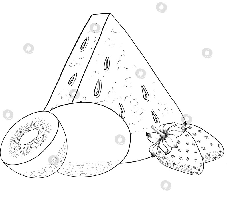 Скачать Набор нарисованных тушью тропических цветов, листьев и фруктов. Для меню, упаковки косметики и продуктов питания, книжек-раскрасок и гравюрных украшений. фотосток Ozero