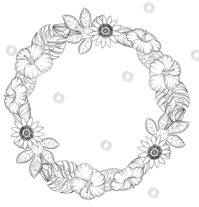 Скачать Набор нарисованных тушью тропических цветов, листьев и фруктов. Для меню, упаковки косметики и продуктов питания, книжек-раскрасок и декоративных гравюр. фотосток Ozero