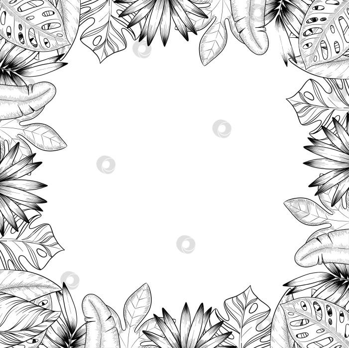Скачать Набор нарисованных тушью тропических цветов, листьев и фруктов. Для меню, упаковки косметики и продуктов питания, книжек-раскрасок и гравюрных украшений. фотосток Ozero