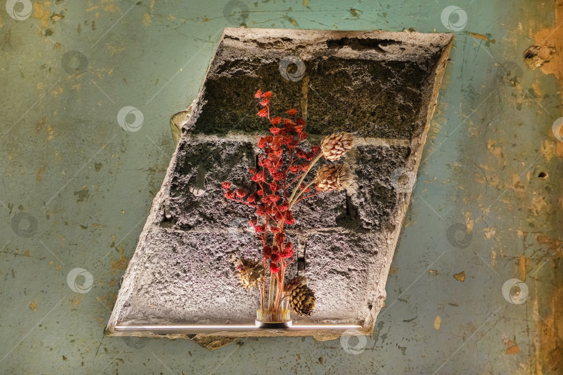Скачать Ниша в стене с вазой и сухоцветами фотосток Ozero