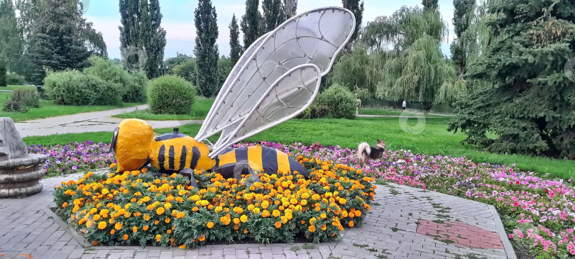 Скачать Пчела на клумбе фотосток Ozero