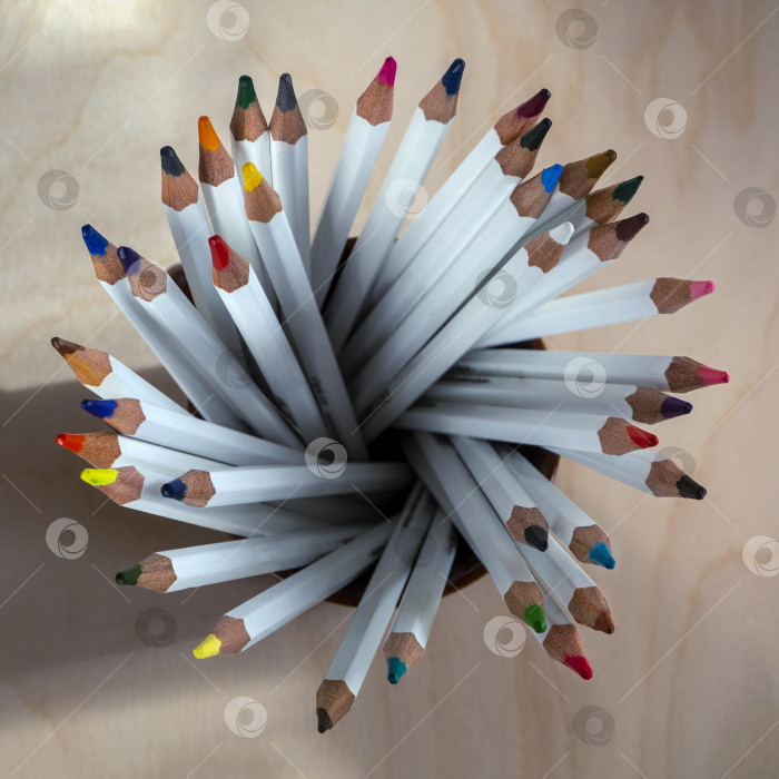 Скачать Цветные карандаши для художников, творчества и хобби в круглой подставке. Вид сверху. Цветные карандаши разложены веером на подставке. фотосток Ozero