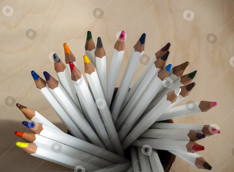 Скачать Цветные карандаши в белых деревянных футлярах на круглой подставке. Вид сверху. Крупный план. Инструменты для творчества и хобби. фотосток Ozero