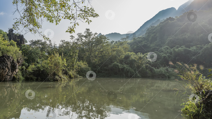 Скачать Спокойное озеро в природном парке окружено прибрежной зеленой растительностью. фотосток Ozero