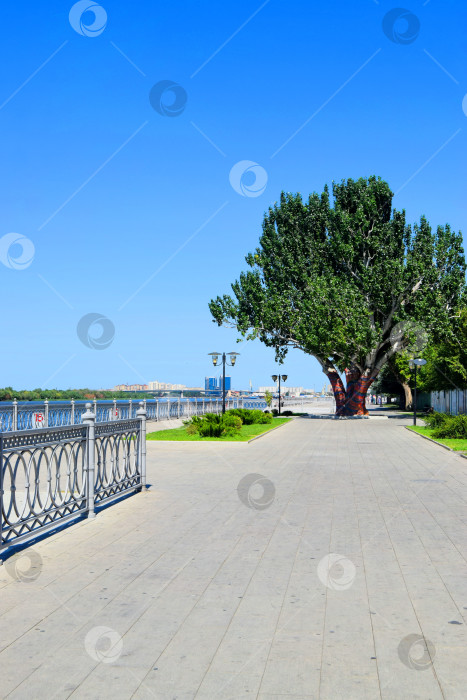 Скачать Астрахань. Россия. Август 2019 фотосток Ozero