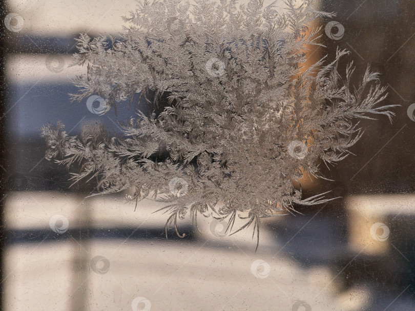 Скачать Морозный узор на окне в зимнем городе. Зимний морозный рисунок на окне. фотосток Ozero