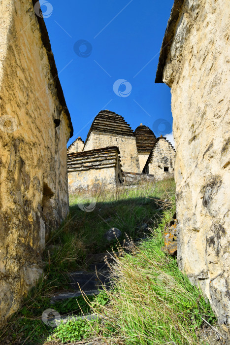 Скачать Северная Осетия. Даргавс фотосток Ozero