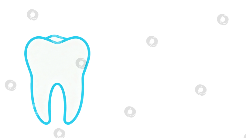 Скачать Контур зуба в голубом цвете для стоматологических и медицинских иллюстраций с местом для текста, на белом фоне фотосток Ozero