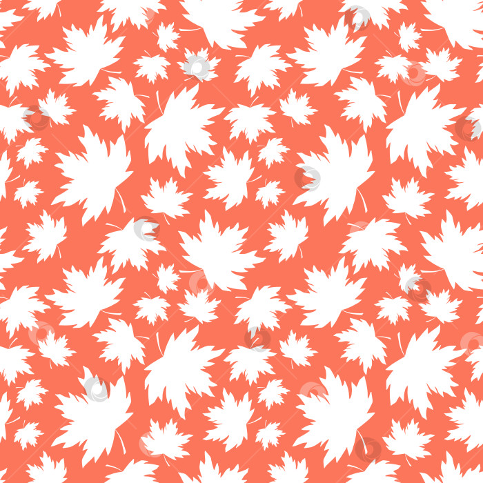 Скачать Бесшовный узор из кленовых листьев. Силуэт листвы Acer на безграничном фоне. Бесконечная цветочная текстура. Розовые и белые листья, повторяющие дизайн поверхности в пастельных тонах. фотосток Ozero