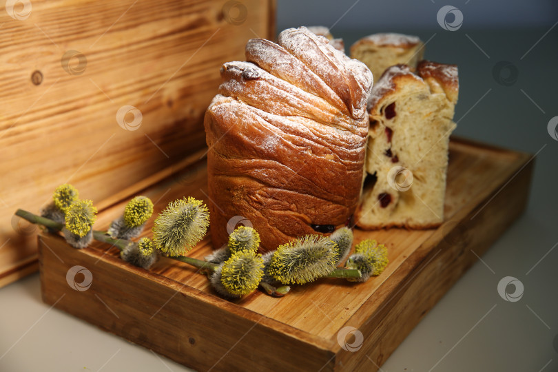 Скачать Пасхальный кекс краффин (craffin) с сахарной пудрой и веткой ивы на стол фотосток Ozero