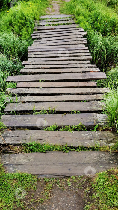 Скачать Деревянный мост через Болото фотосток Ozero