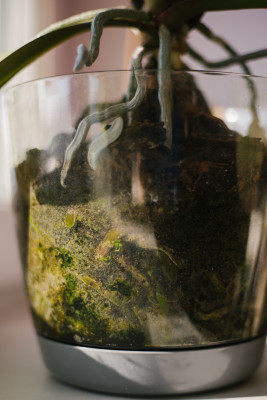 [object Object] undefined