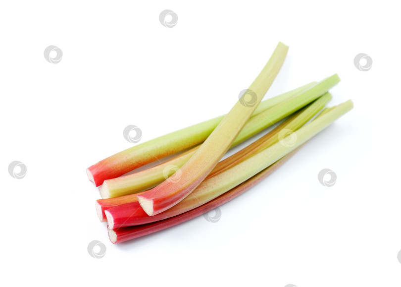 Скачать Красные и зеленые стебли ревеня на белом фоне фотосток Ozero