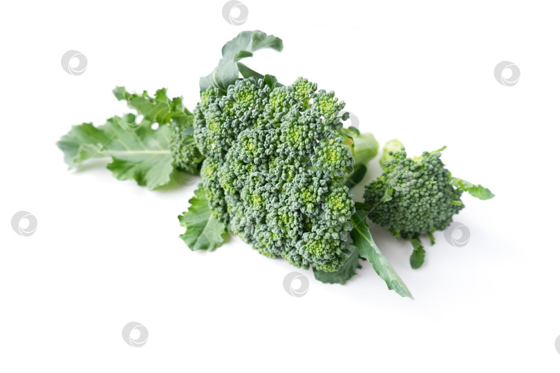 Скачать Соцветие капусты брокколи фотосток Ozero