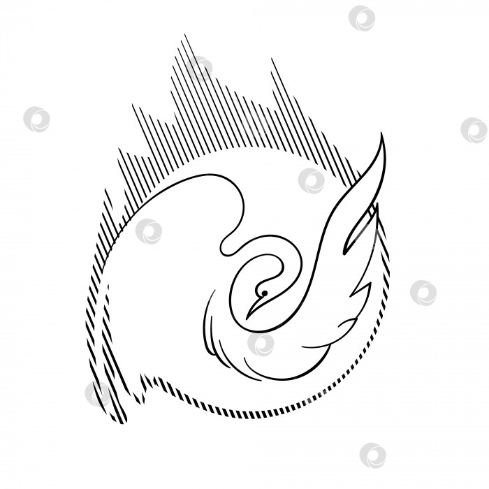 Скачать Жар-птица - черно-белый эскиз, векторный логотип фотосток Ozero