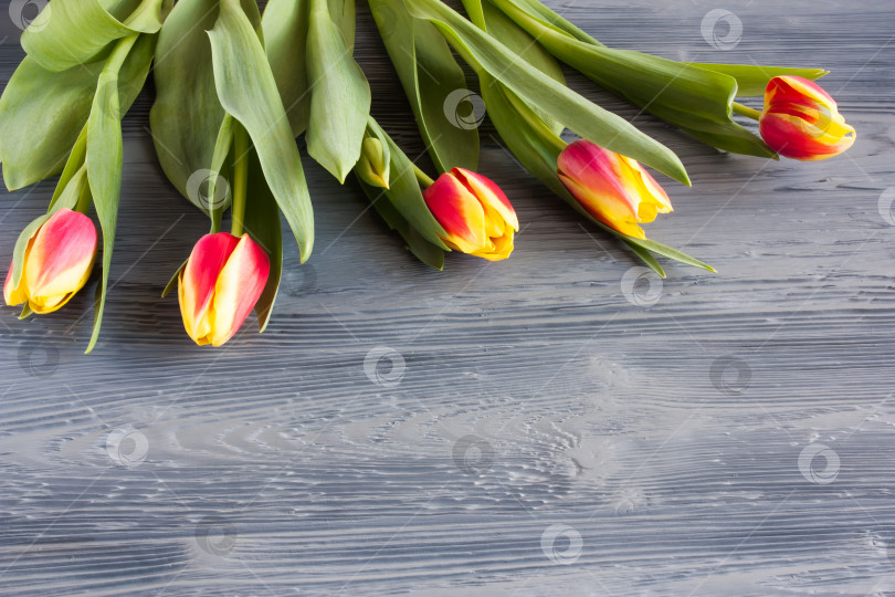 Скачать красные и желтые тюльпаны на сером деревянном столе фотосток Ozero