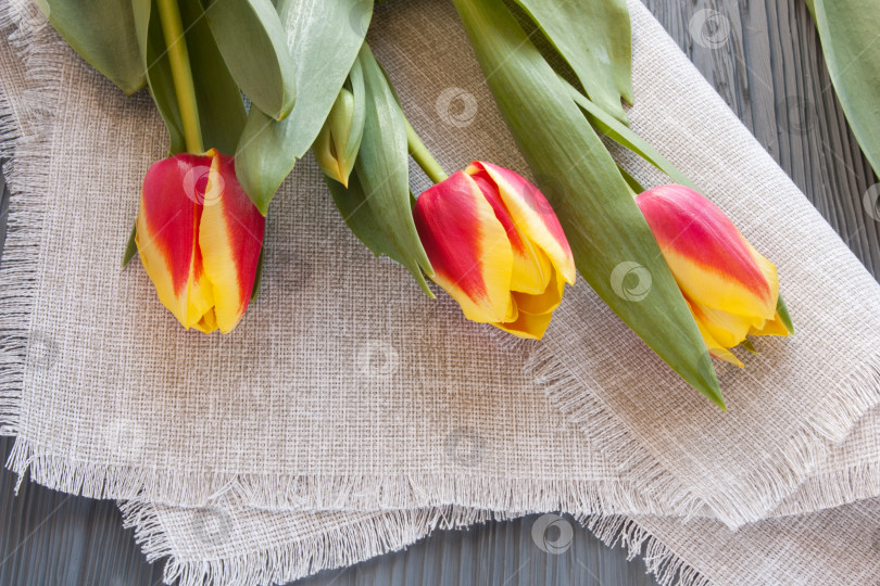 Скачать красные и желтые тюльпаны на льняной салфетке на сером деревянном столе фотосток Ozero