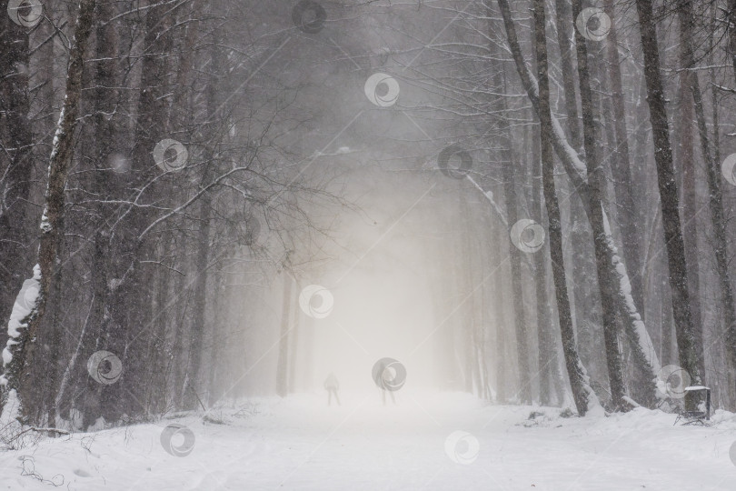 Скачать Лажники в метель фотосток Ozero