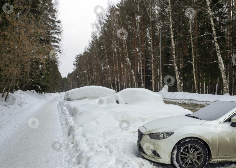 Скачать Парковка рядом с дорогой в лесном массиве занесена снегом. Из-за сугробов не видно легковых автомобилей. Тротуар проходит мимо парковки в лес. Пермь, Пермский край, Россия. 02.2026 фотосток Ozero