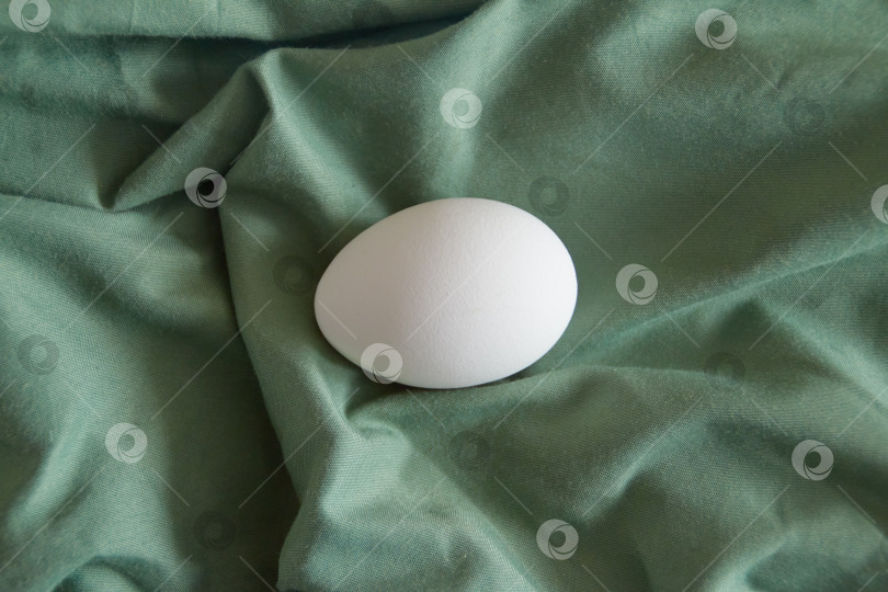 Скачать белое яйцо на зеленом атласе фотосток Ozero