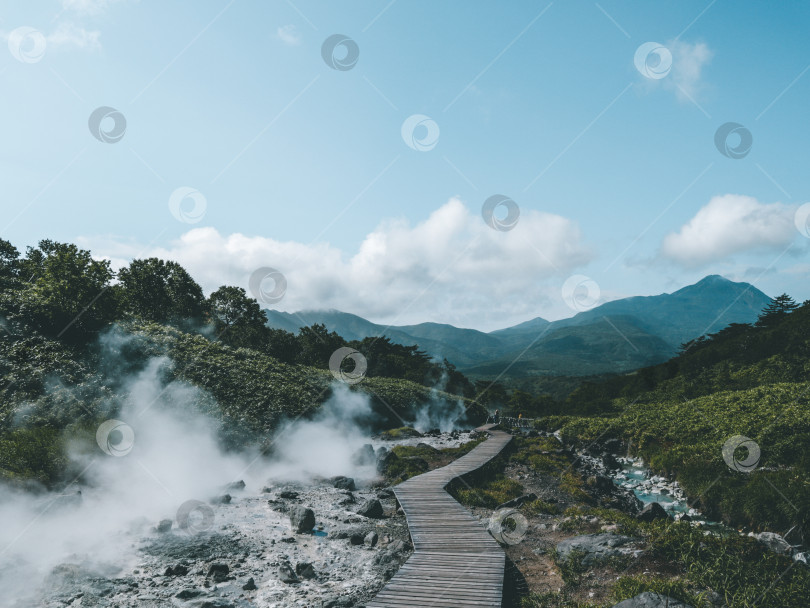 Скачать Пешая дорожка среди паров термального источника на острове Итуруп, Курилы фотосток Ozero