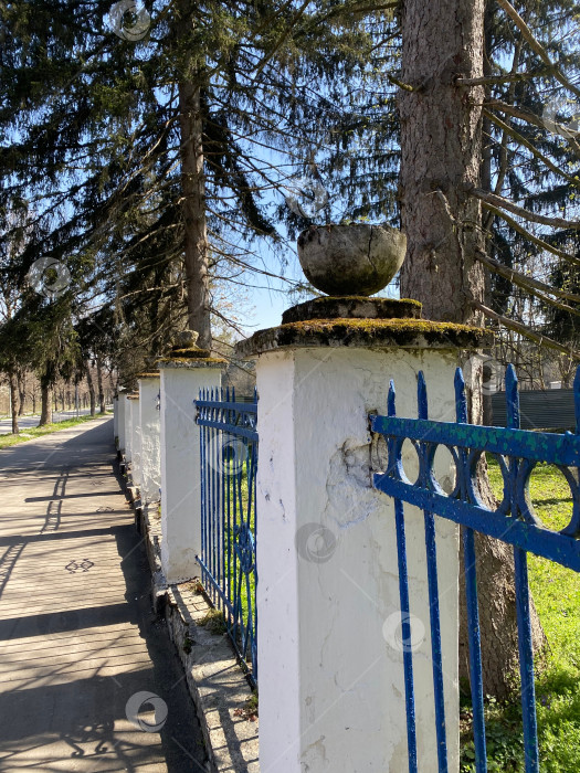 Скачать Ограда в лесу фотосток Ozero