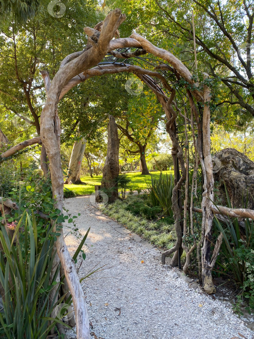 Скачать Деревянная арка из веток фотосток Ozero