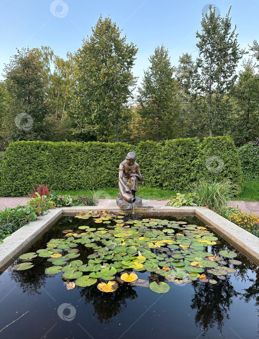 Скачать Пруд с кувшинками фотосток Ozero