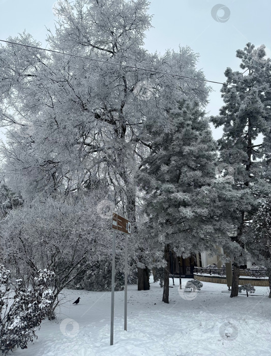 Скачать Заснеженная зима фотосток Ozero