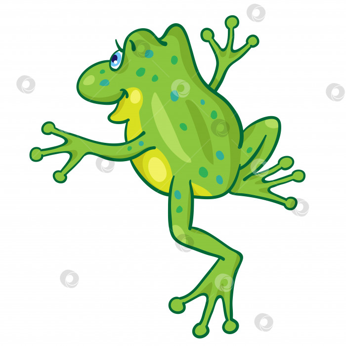 Скачать Забавная маленькая лягушка в мультяшном стиле прыгает. фотосток Ozero