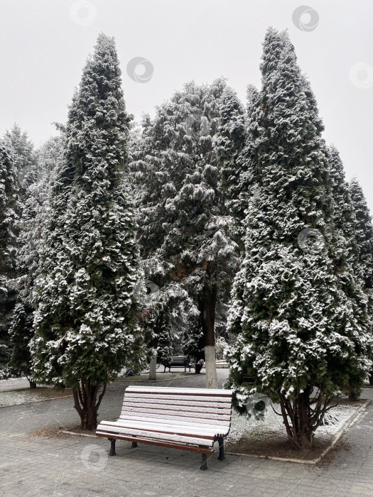 Скачать Заснеженный парк фотосток Ozero