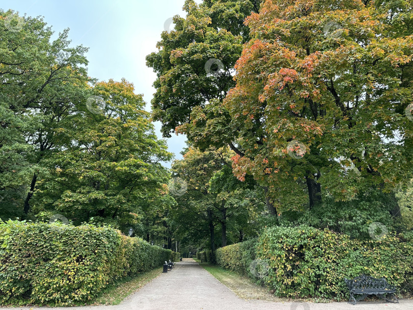 Скачать Осенний парк фотосток Ozero
