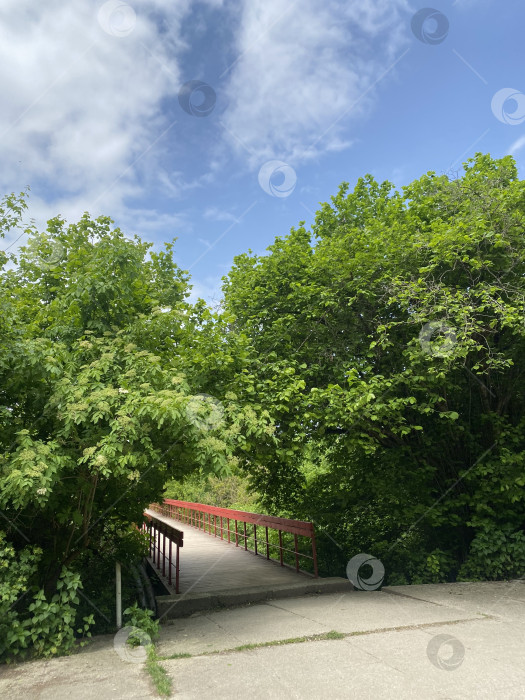 Скачать Красный мост фотосток Ozero