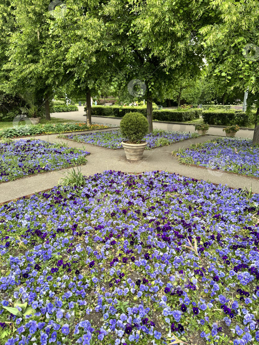 Скачать Оранжерея фотосток Ozero