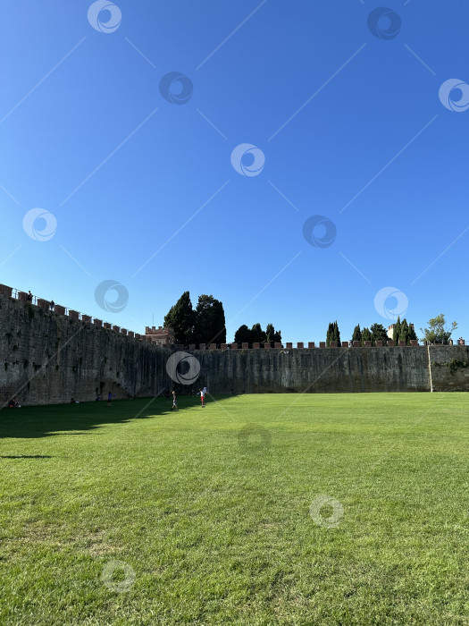 Скачать Лужайка фотосток Ozero