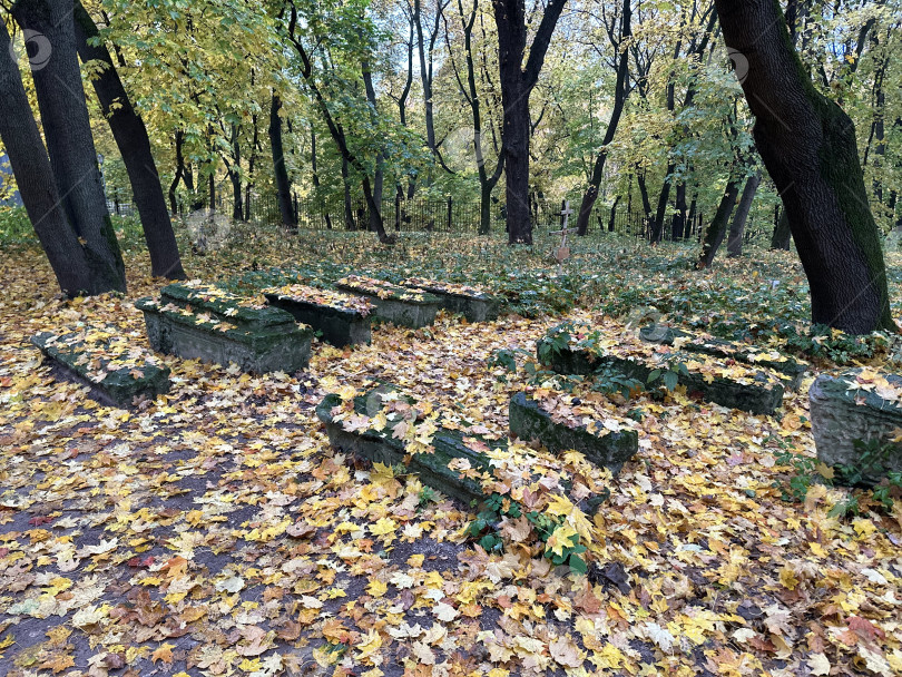 Скачать Кладбище фотосток Ozero