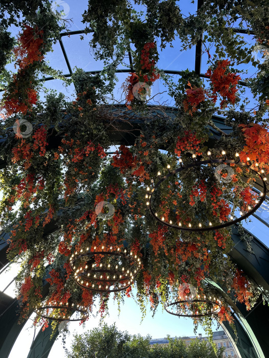 Скачать Осенние декорации фотосток Ozero